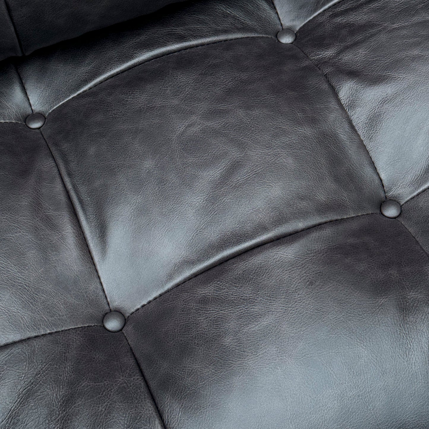 Standard Sofa in Midnight Black